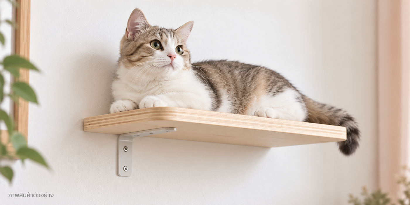 WALL SET — ชุดใหญ่